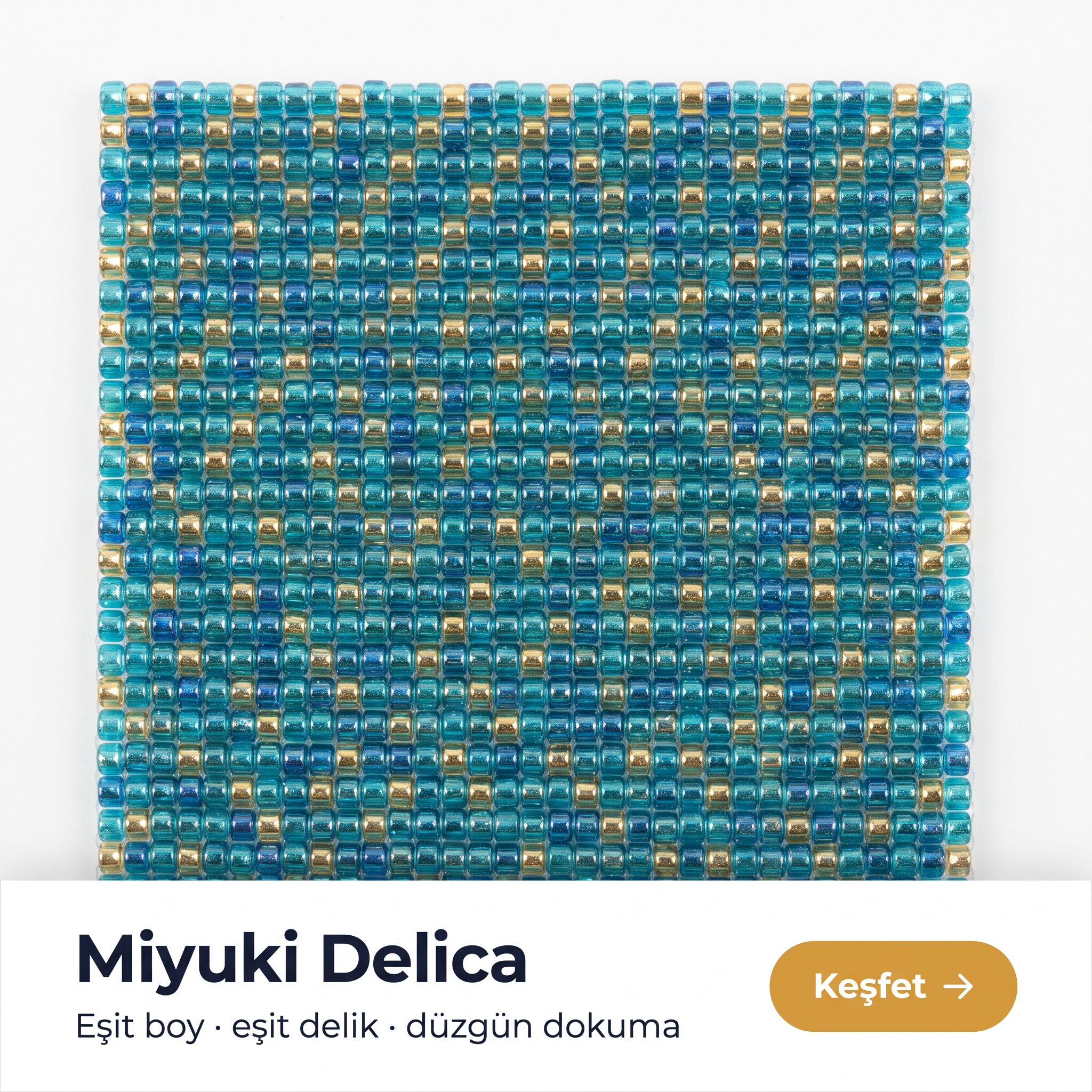 Miyuki Delica