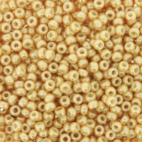 Miyuki Round Seed RG-593-8 Kum Boncuk 8/0 3mm - Kutu No:21 - 5 Gr
